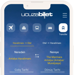 mobile application